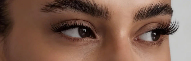 Lashes