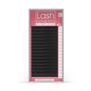 Volume Lashes L Curl