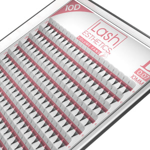 Premade Lash Fans in Tray Curl D