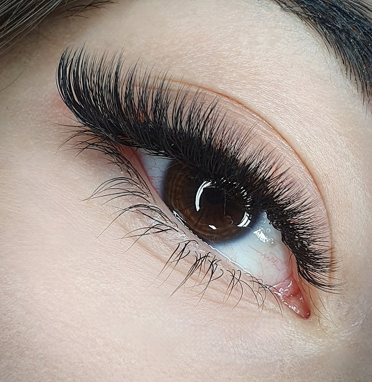 Volume Lashes
