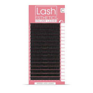 Volume Lashes